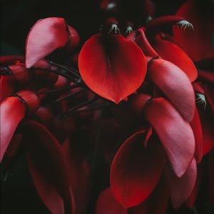 Meet your Posher, Ravisha